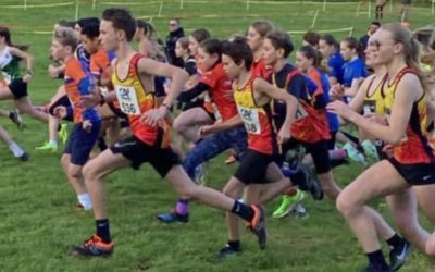 Aéro-Modélisme Résultats cross Tilly sur Seules