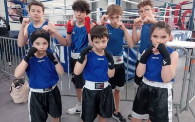 Boxe Educative