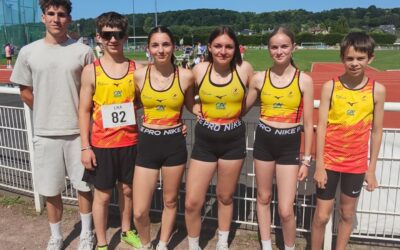 Aéro-Modélisme REGIONAUX MINIMES A LISIEUX